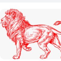 LE LION ROUGE 🇸🇳🇸🇳