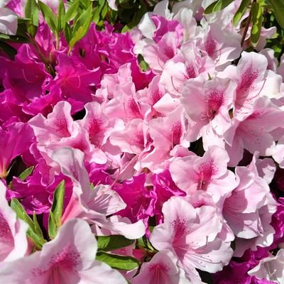 ダンス・ウィズ・ユー