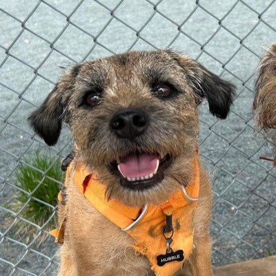 Hubble, Sir, OBE 🇨🇦