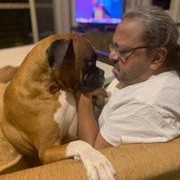 The Shah of Blah 🌈