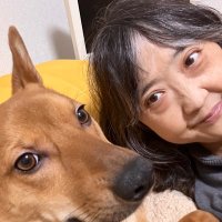 冨田麻里（7thclouds公式ツィート