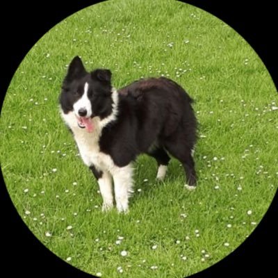 Peio🇵🇸🇺🇦