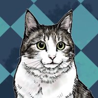 Ayatora(意外と使えるLINEスタンプの人)