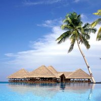 Ayı Bükücü ve Boğa Yıkıcı