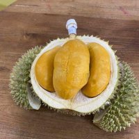 duren duri item 🇲🇨