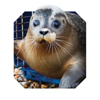 RSPCA East Winch Wildlife Centre