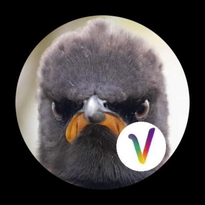 AnonymousLP ✊🏻#FrontPopulaire #GaucheUnie