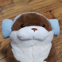 ミンちゃん🦝🦦