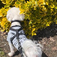 𝓘𝓷𝓭𝓲𝓪 𝓝𝓲𝓬𝓱𝓸𝓵𝓮🫦🐾🦴