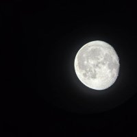 𝐋𝐄𝐖𝐈𝐒 Ç𝐀Õ𝐒