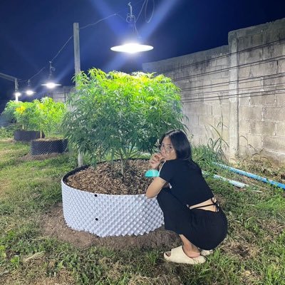 HIGHTAG Greenparty ๔๒๐