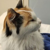 Erio Faccani © 🌈