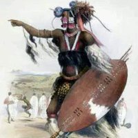 Matabele Warrior