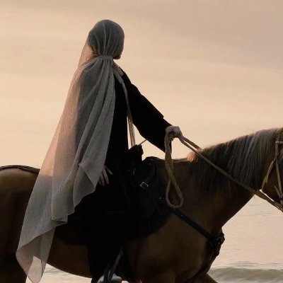 🇹🇷"Cihan'ıHümayun" 𓃥 𐱅𐰇𐰼𐰜☪️