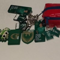 タイガータイガー