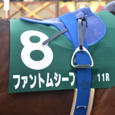 𝒂𝒋𝒊-𝒔𝒂𝒏𝒅