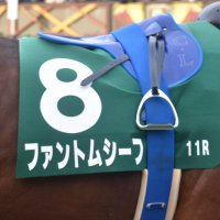 𝒂𝒋𝒊-𝒔𝒂𝒏𝒅