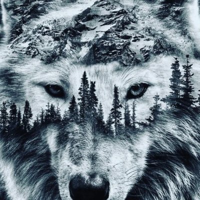 🇨🇦 I STAND WITH CANADIAN FARMERS🍁