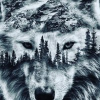 🇨🇦 I STAND WITH CANADIAN FARMERS🍁