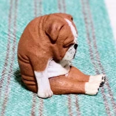 さとつん🇺🇦🇵🇸（政治は上下、脱原発）