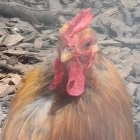 The sad comedy channel