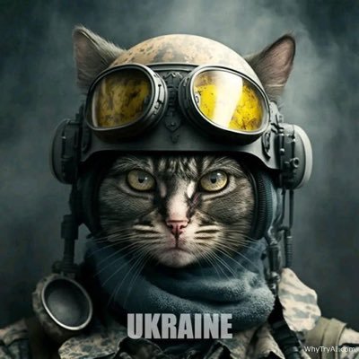 Phoenix68 🇪🇺🇮🇹🇺🇦 🇨🇦🇮🇱 🇬🇪🇹🇼🇯🇵🇰🇷