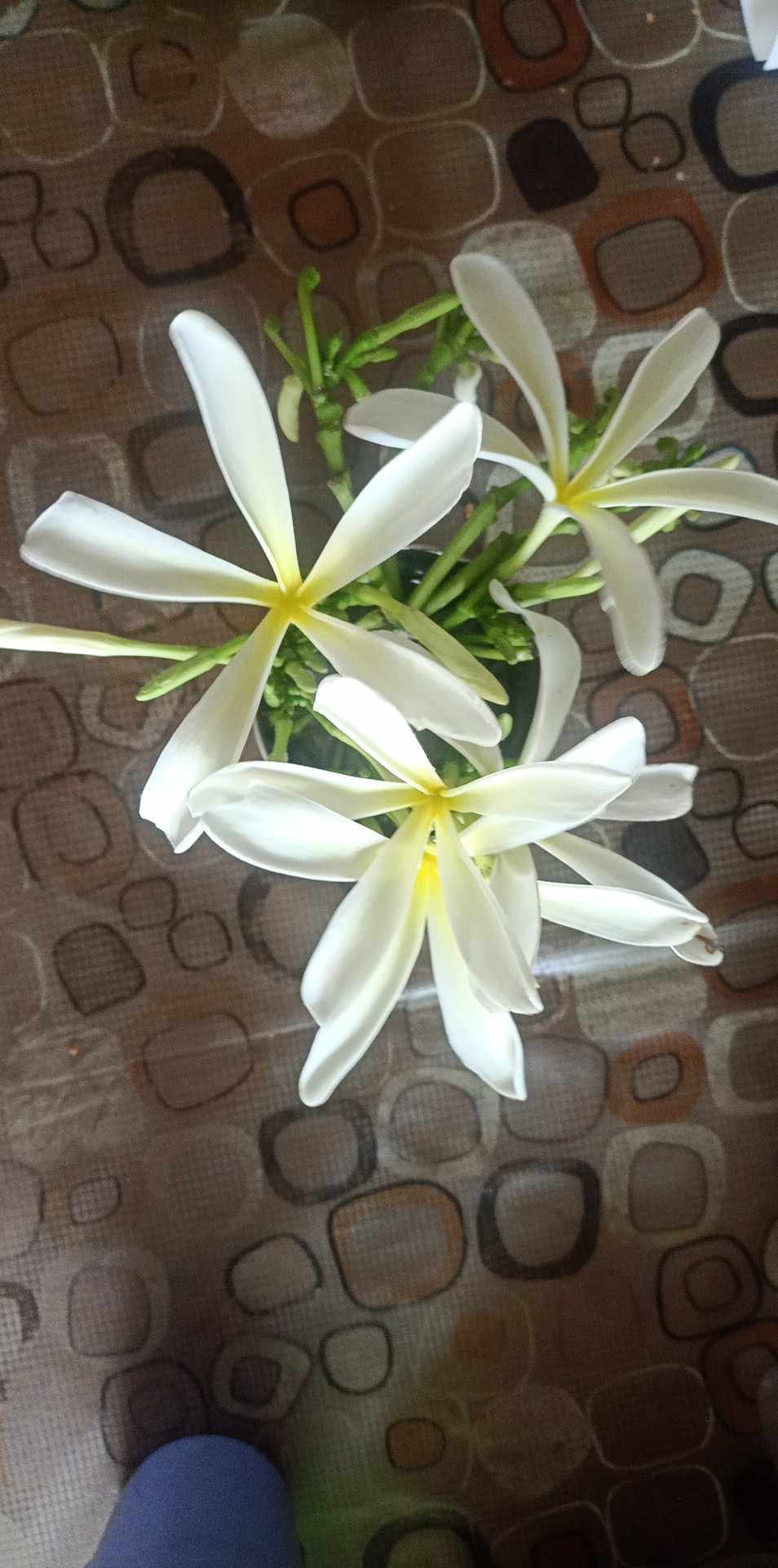 Amarjit singh Narula