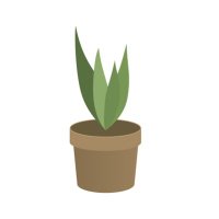 ユーフォルビア💚❣️