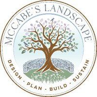 McCabe's Landscape