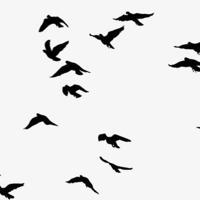 bANUso 🇳🇬 🦅