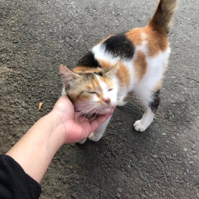 isa the punk rocker! 🍉