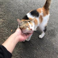 isa the punk rocker! 🍉