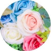 ❅かりん🧚‍♂️❅