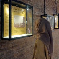 Dippaaャ𝐍𝐂𝐓𝐈𝐎²⁴ꜝ