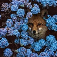 🌿🌺 V the ecologist 🌺🌿 (commission available)