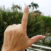 Anna Zappa Brasil da Silva 🌟