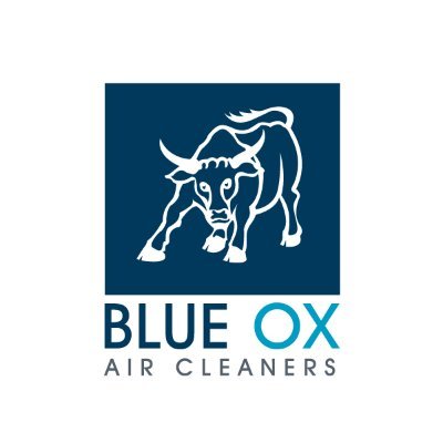 Blue Ox Air Cleaners