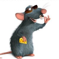 web diva beyoncé golpista