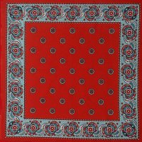 Ineke Scholten 🚜🐄