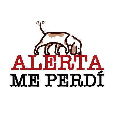 Alerta me perdi