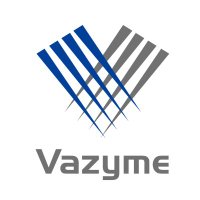 Vazyme