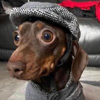 Sparrow UG🇺🇬🦅