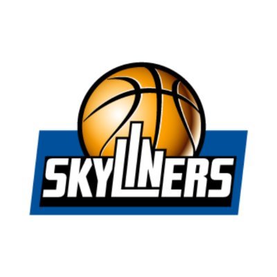 SKYLINERS