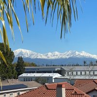 天道 （不私聊）