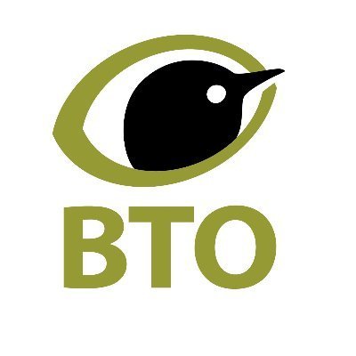 BTO
