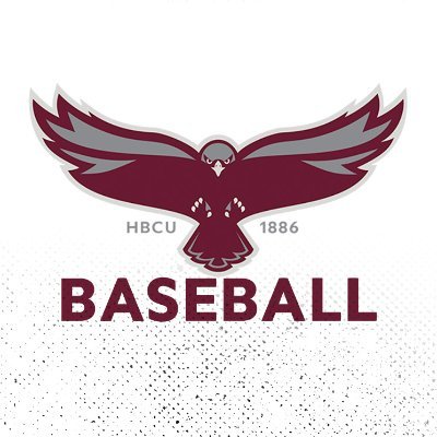 Hawk Baseball ⚾️