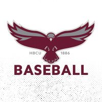 Hawk Baseball ⚾️