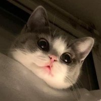 🦄PONDชน์🫧