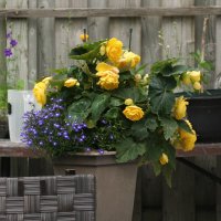 MoiraMarieFromAcrossTheSea