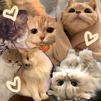 naninuu🫧| rekomendasi shopee🎀